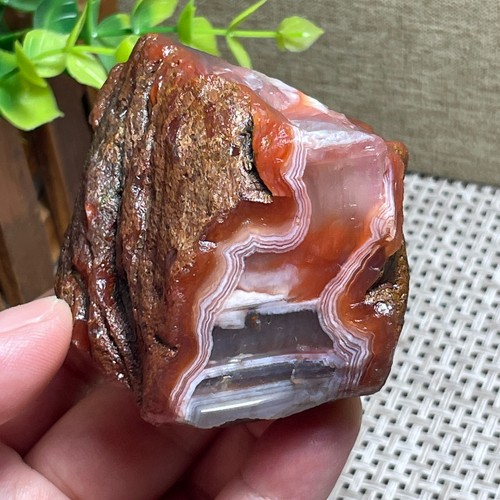 208g red agate - agate, raw