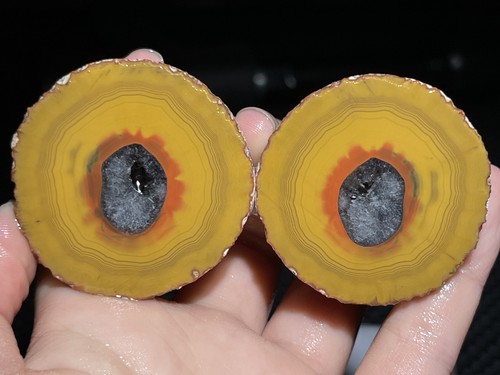 1pair natural warring states - 1pair,