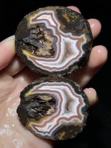 Natural warring states red - warring,